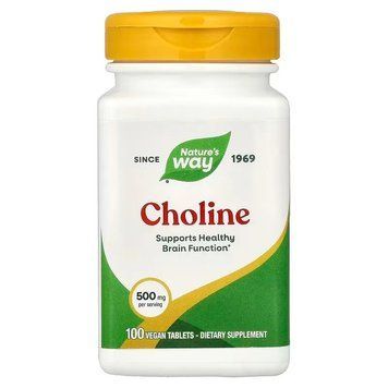 Choline 500 mg - 100 tabs 2022-10-1077 фото